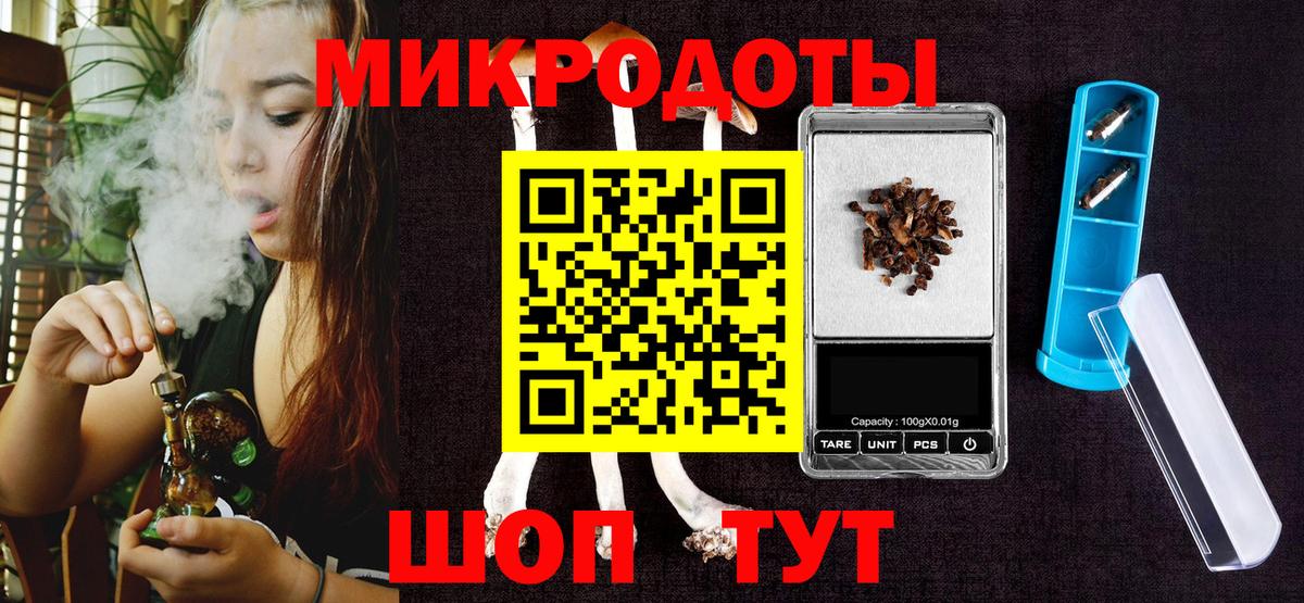 Галлюциногенные грибы Psilocybe Кинель